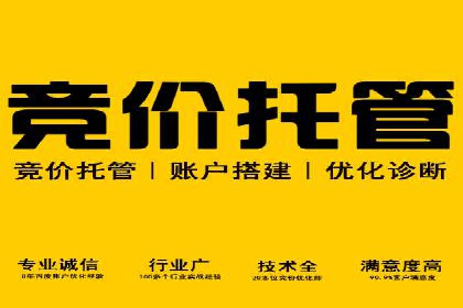 竞价广告的秘密武器：SEM推广的五大成功案例